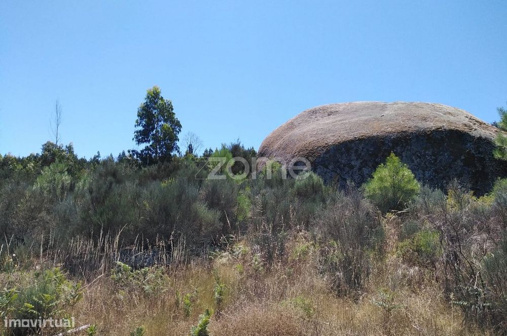 Terreno 4500m2 em Lagares - Coimbra