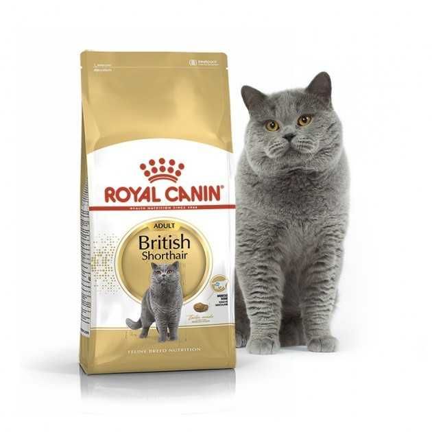 Royal Canin British Shorthair 4кг Роял Канин Бритиш, для Британцев