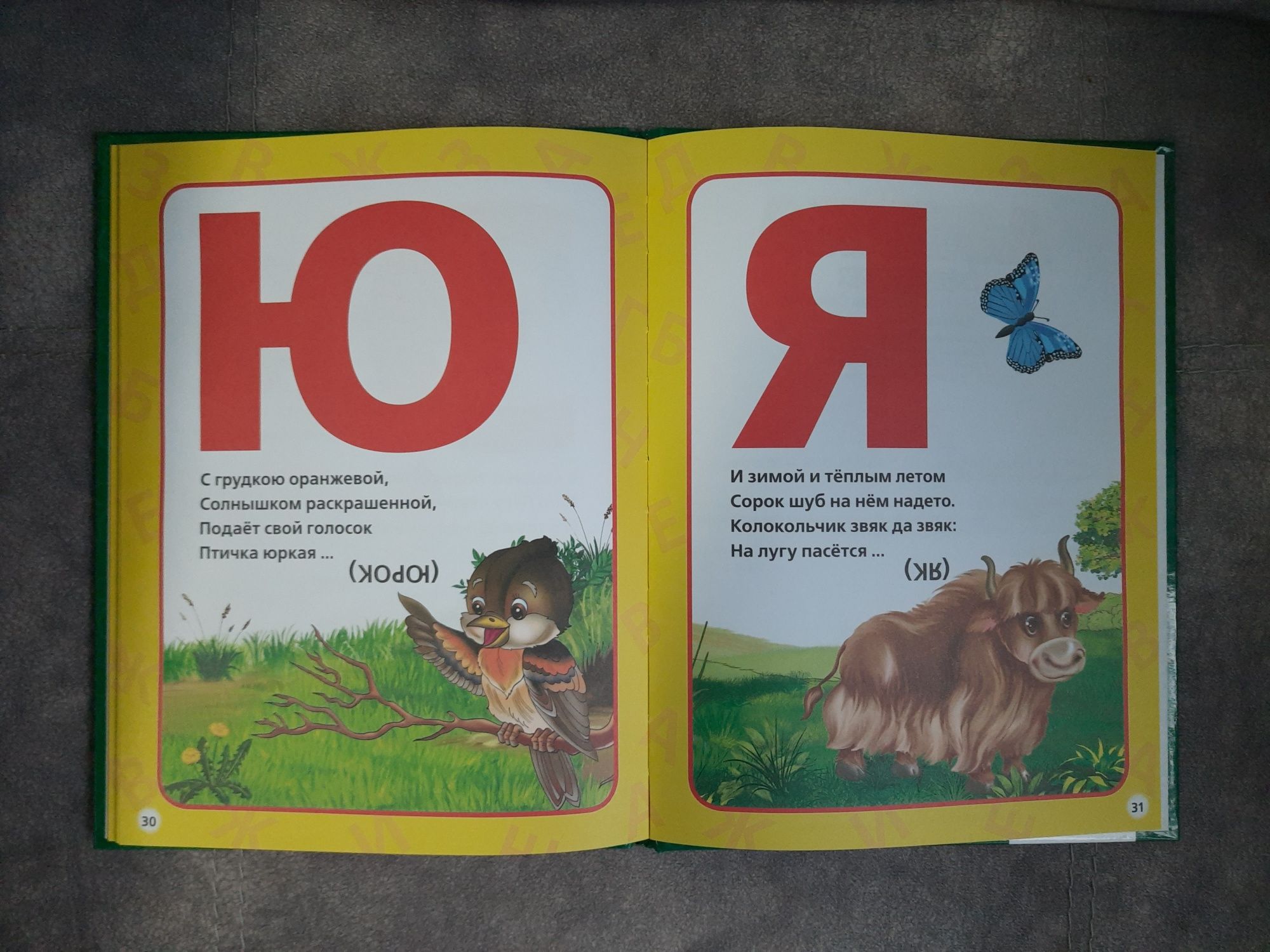 Детские развивающие книги,азбука,Жукова,пазлы,касса букв и цифр