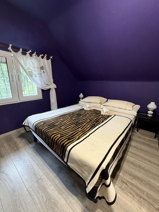 Здам в оренду будинок Київська обл., с.Літки, біля річки Десна, Любич