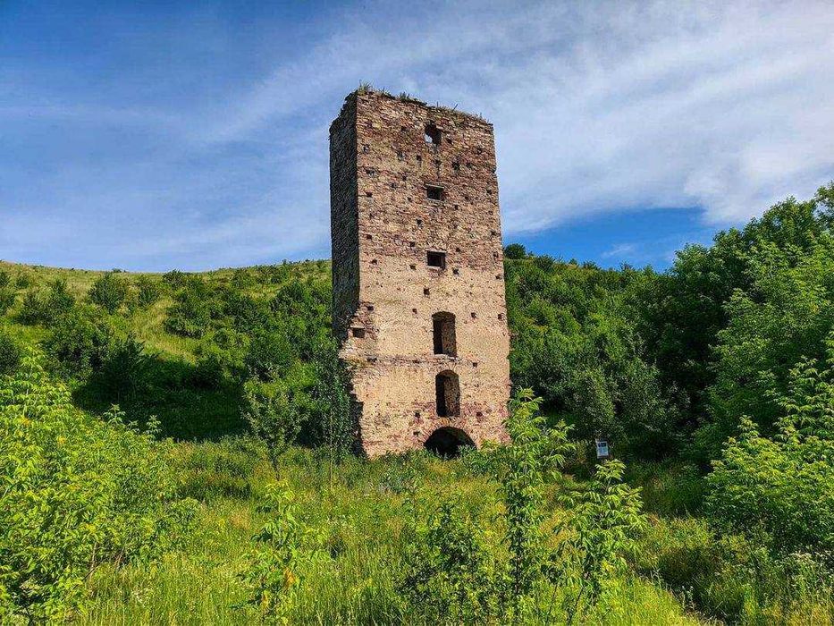 Будинок мрії на березі Дністра