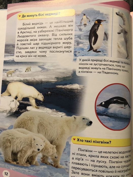 Енциклопедія Чомусики