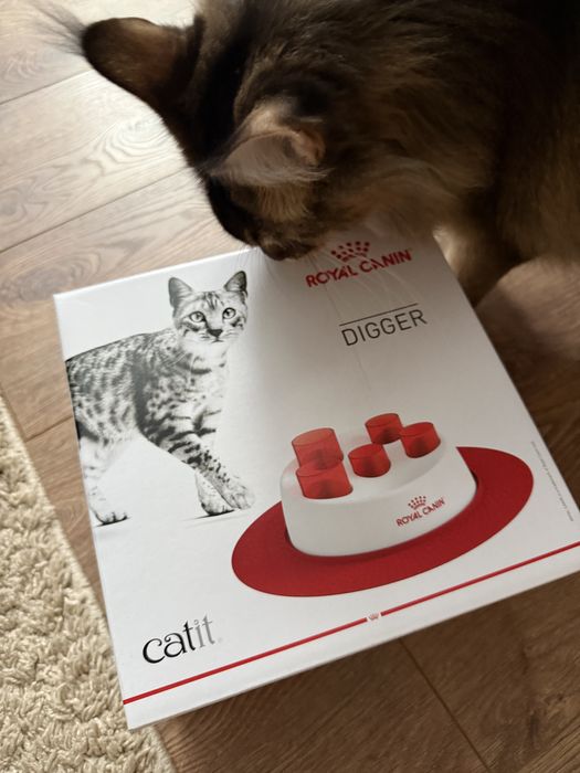 Інтерактивна годівниця для котів