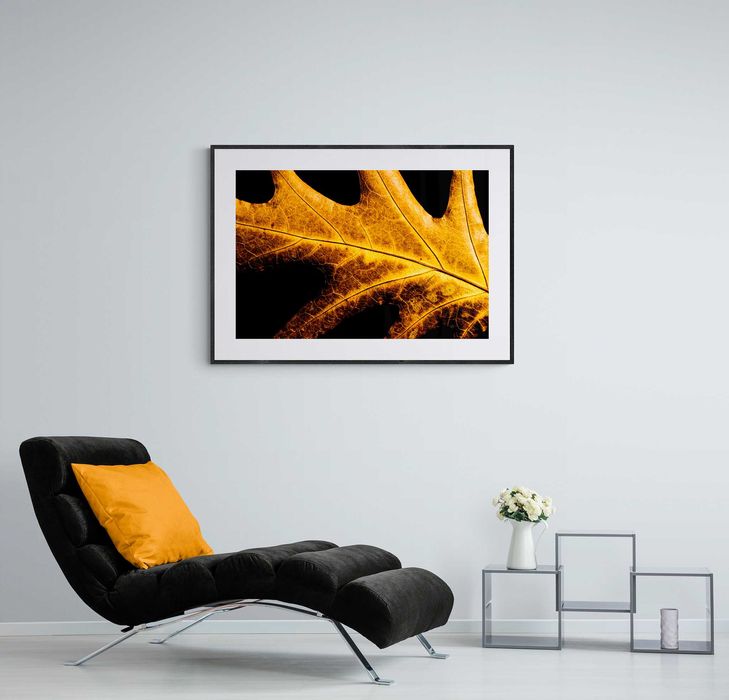 Fotografia, Plakat Na Ścianę, Natura Złoty Liść Styl Glamour 40x30 cm