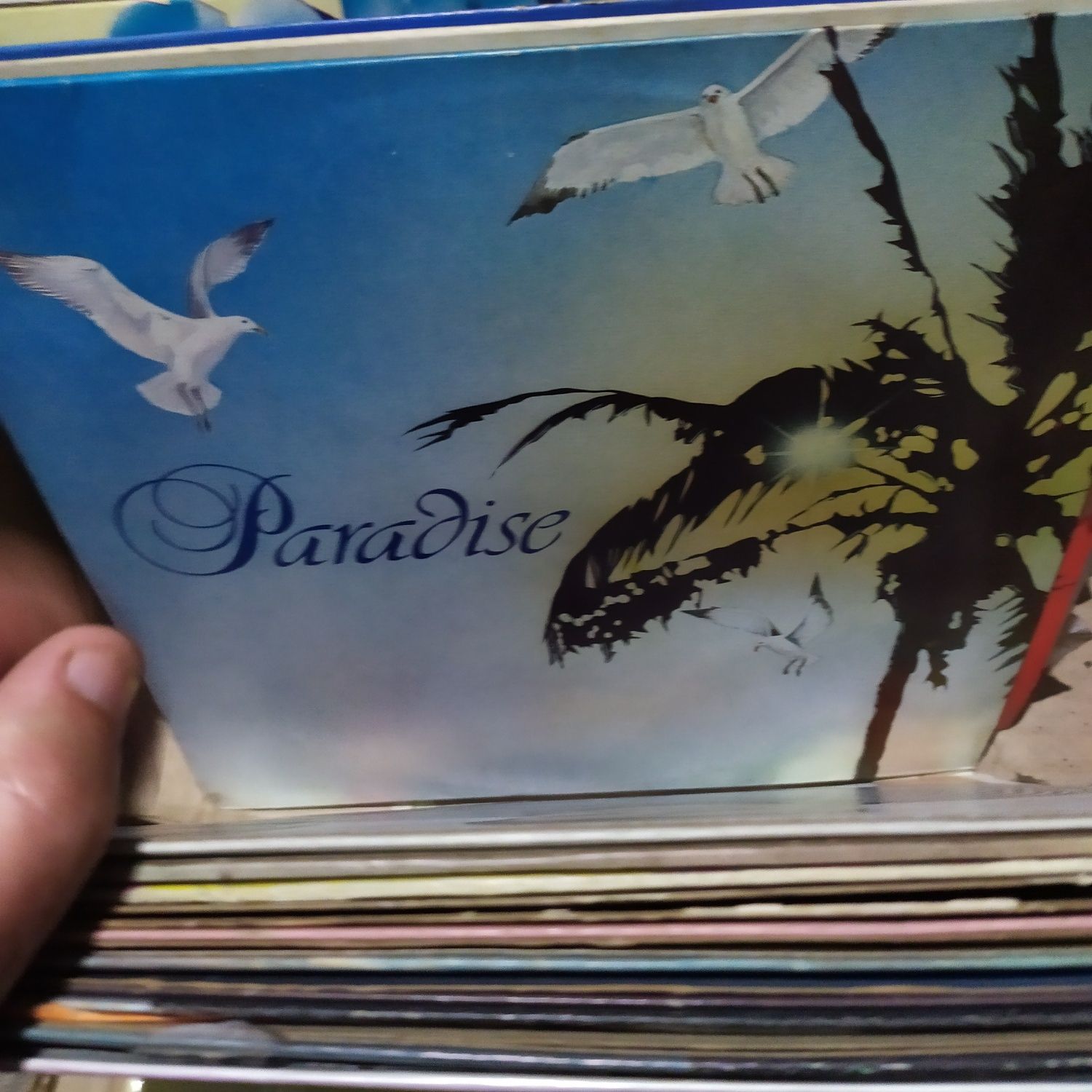 Discos vinil novos