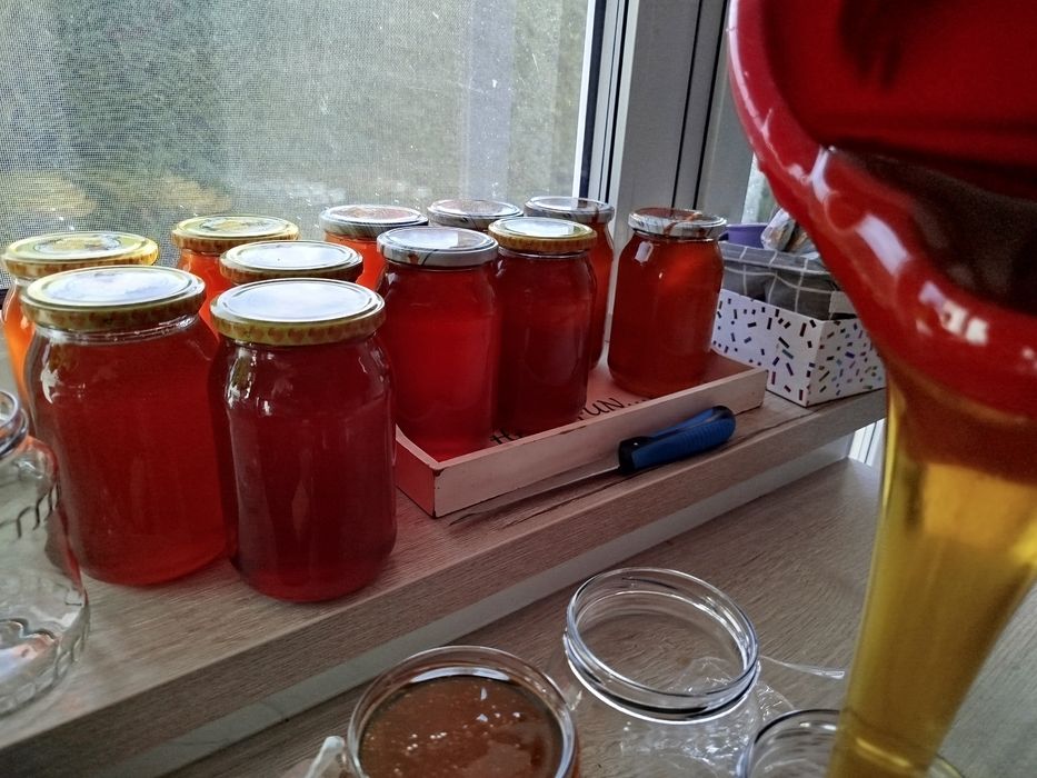 Miód z własnej pasieki