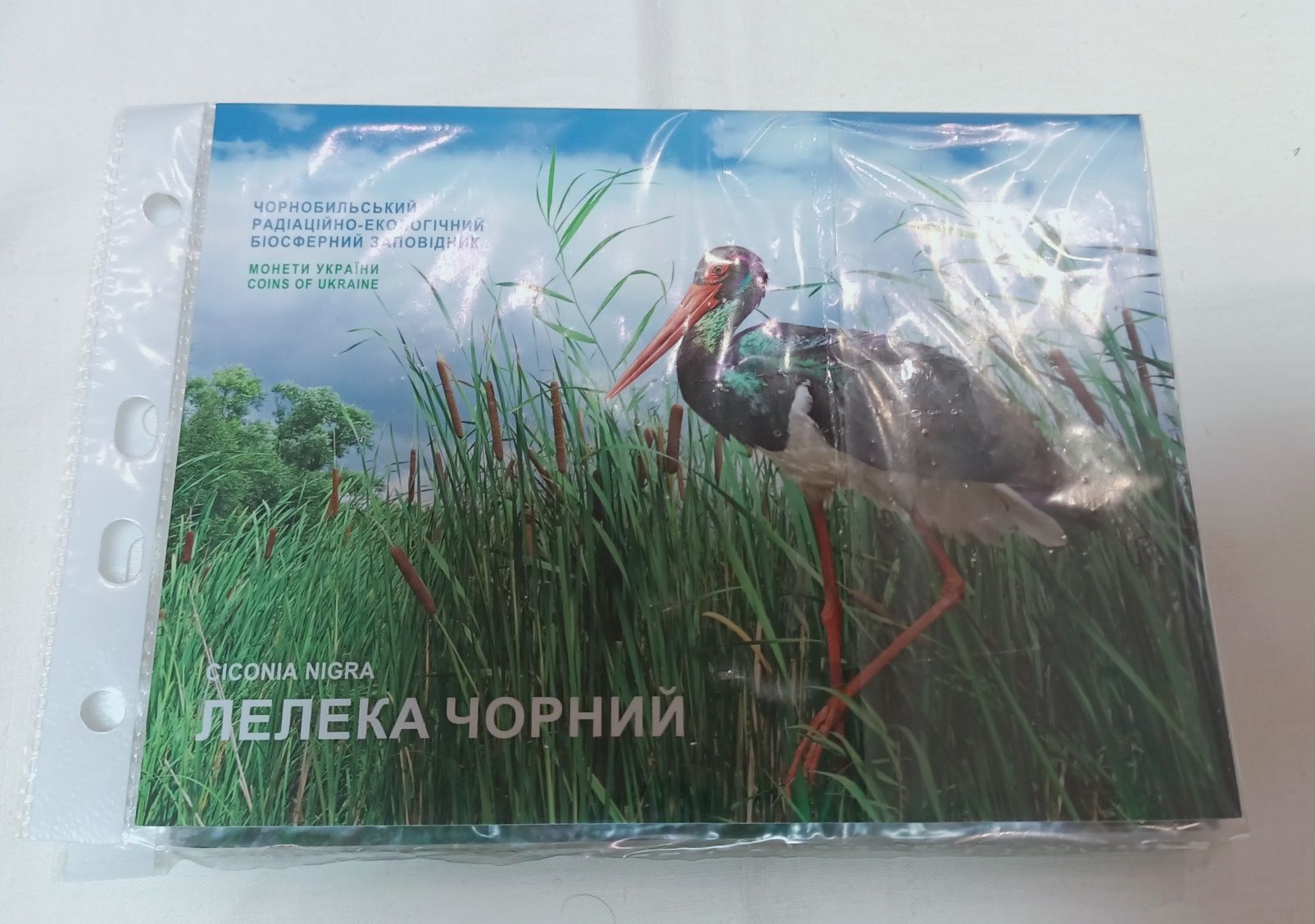 Лелека Чорний обмін