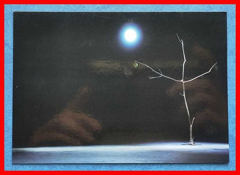 Samuel Beckett - Czekając na Godota - pocztówka - Teatr Narodowy