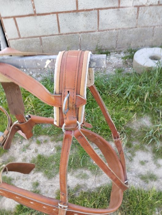 Sprzedam szory puszorki