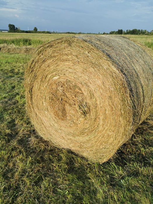 Prasa presa Massey Ferguson166v to samo co Gallignani,Fendt,Kverneland