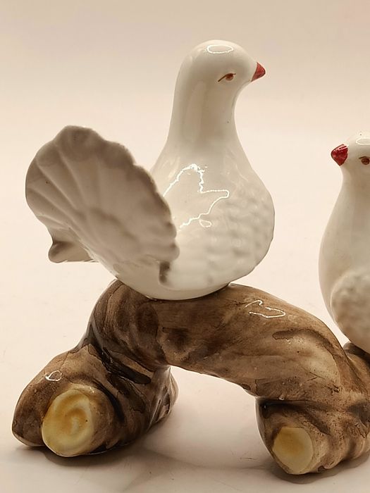 Para gołębi turkawek na gałęzi w Włoskim stylu