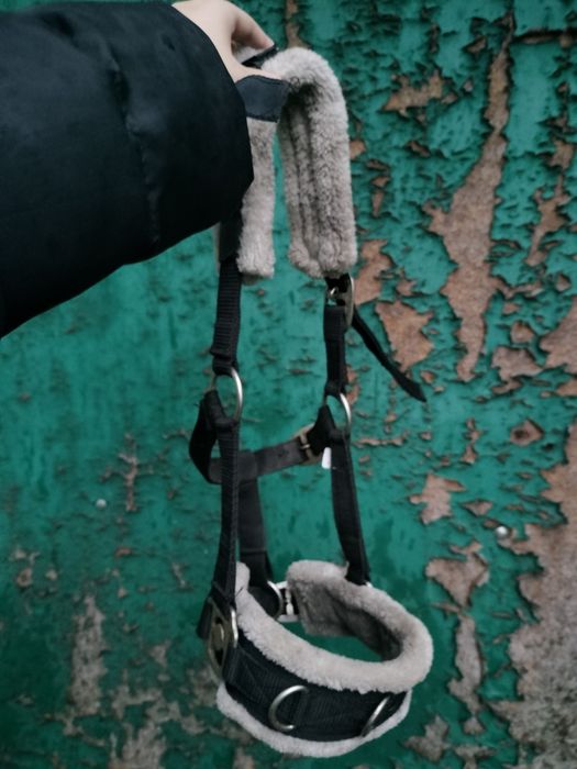 Kawecan pony w bdb