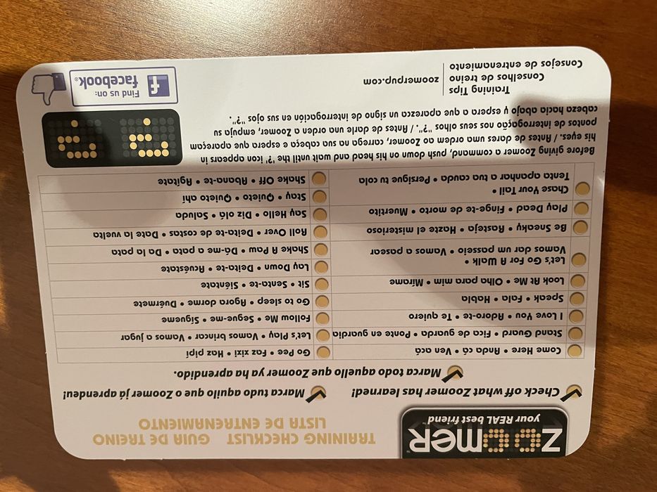 Zoomer Kitty Gatinha Robot - Concentra