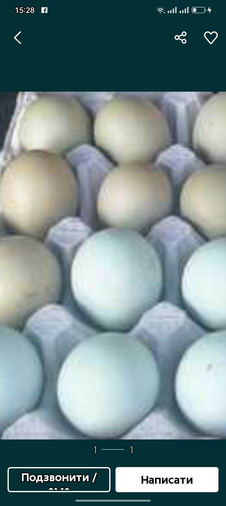 Пропоную інкубаційні яйця