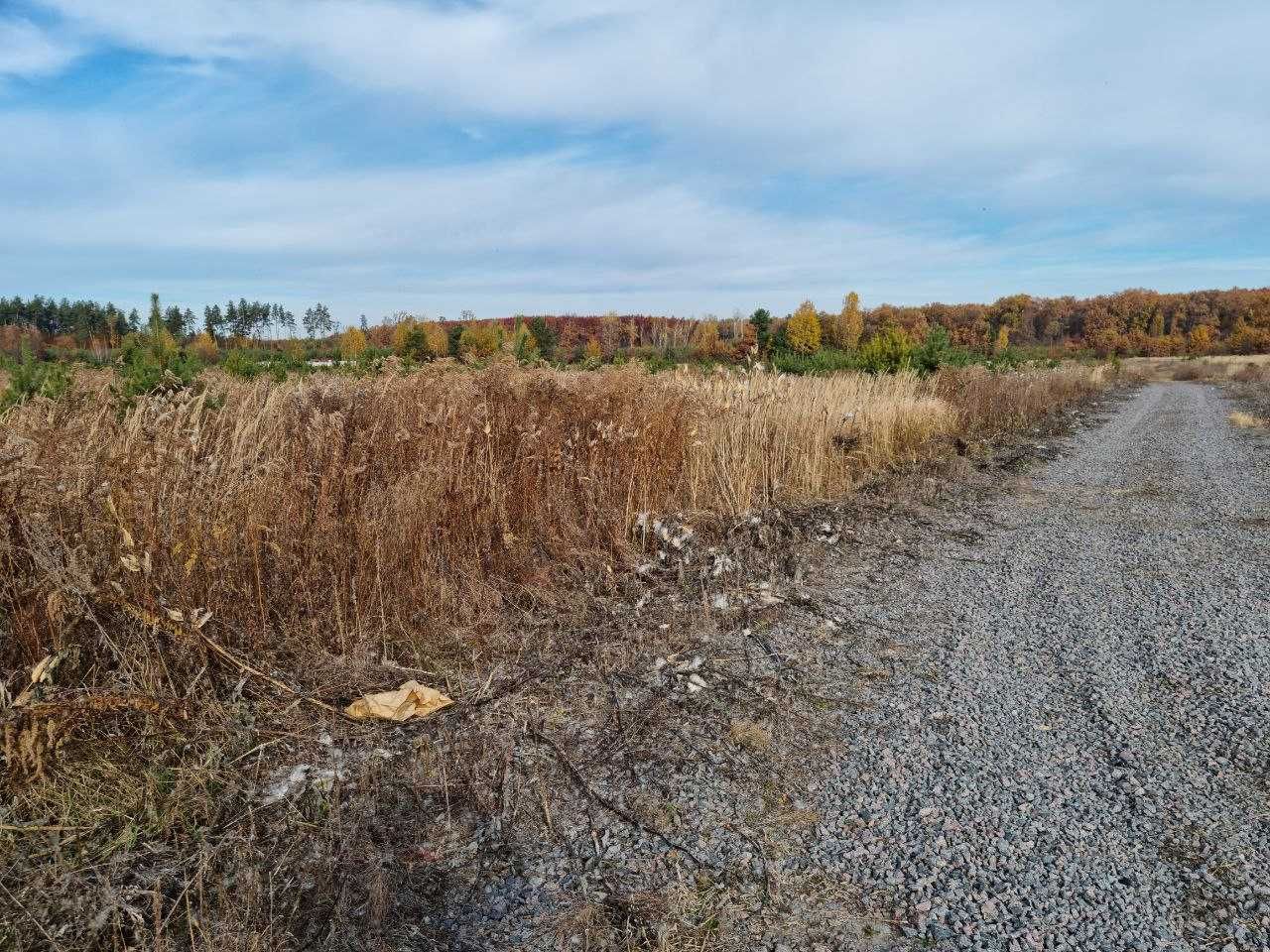 Земельна ділянка в Ясногородка | Земельный участок