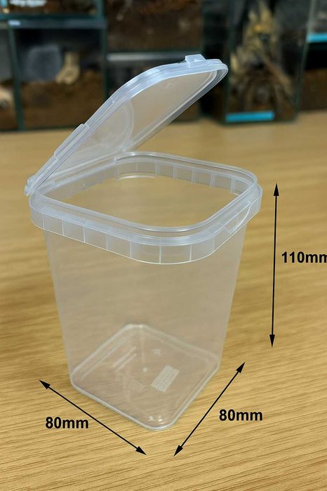 Terrarium Pojemnik hodowlany braplast 8x8x11cm ptasznik skakun