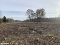 Bezp., 54000m2, Wólka Jeżewska, okolica Tarczyna