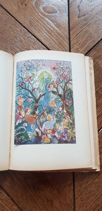 Książka rok 1950 "Dzieci Pana Majstra" Zofia Rogoszówna