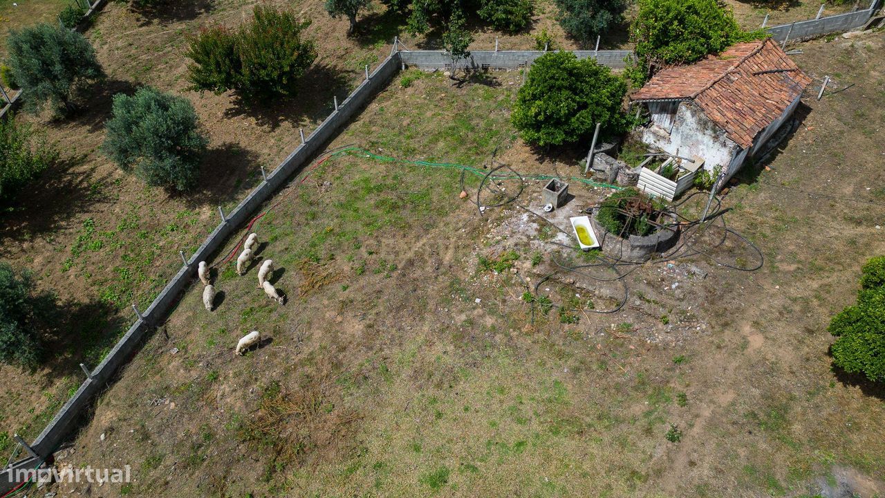 Quinta em Ferreira Zêzere
