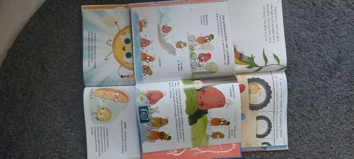 Fajny Cieciorek, Bystre Ciastko, Domowa Pyra - książki dla dzieci