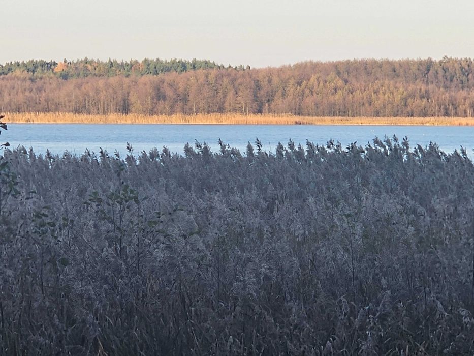 Działki nad Jeziorem Sławskim
