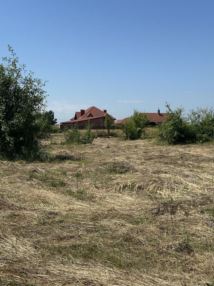 Продаж землі Лісопотік Бірки Брюховичі