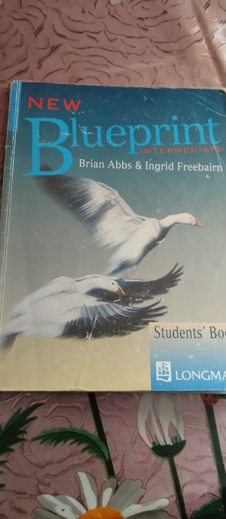 New Blueprint Intermediate Student's Book