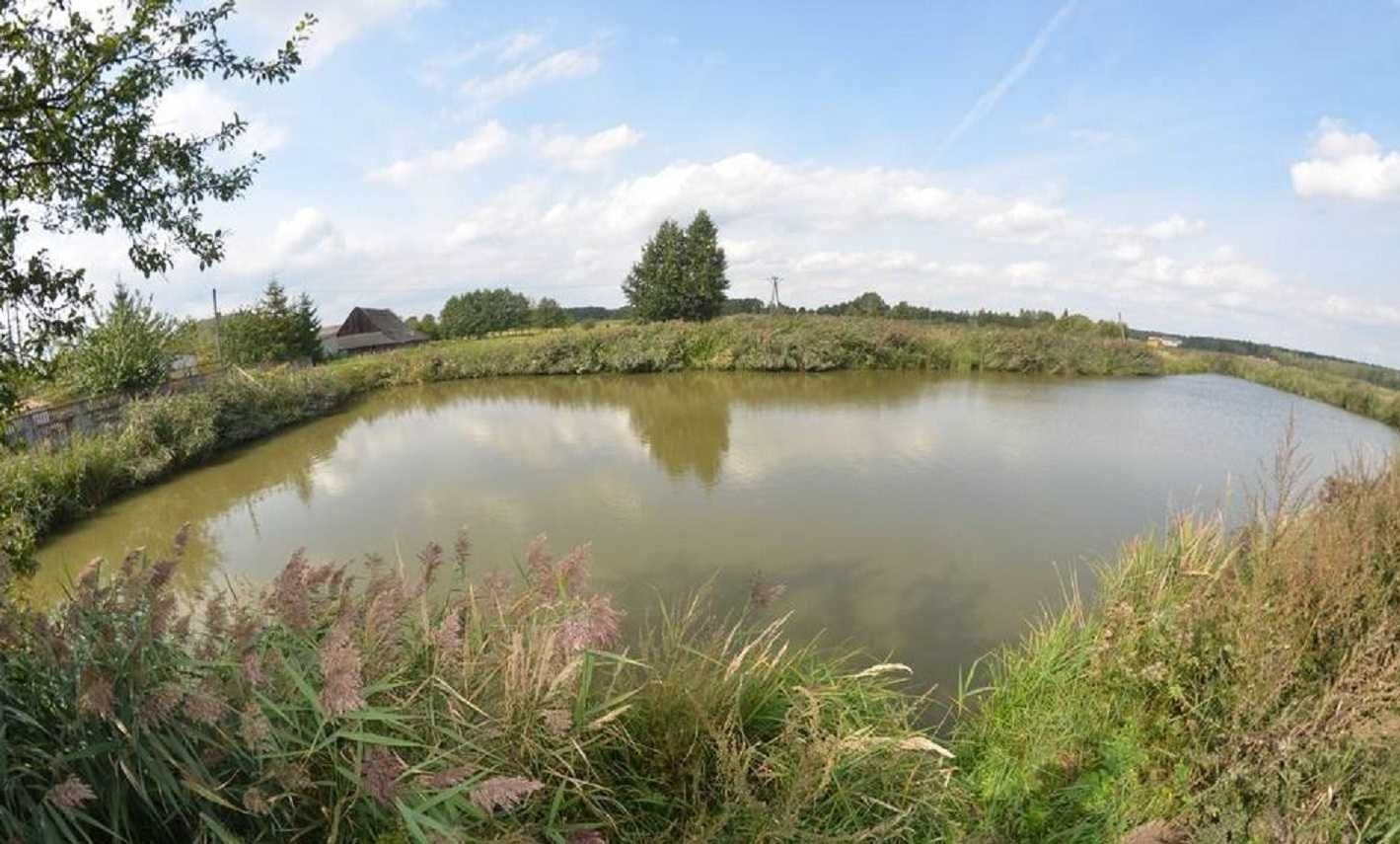 Stawy Hodowlane Gospodarstwo Rybackie Karpiowo Pstrągowe