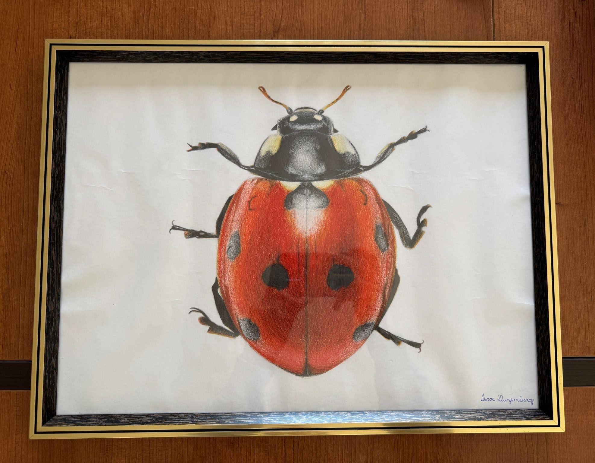 Quadro com desenho realista de joaninha para decoração - folha A3