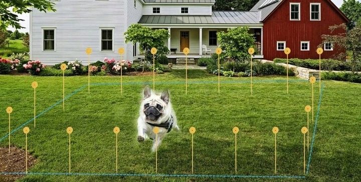 Elektryczny Pastuch Dla Psa Kojec Ogrodzenie 300m