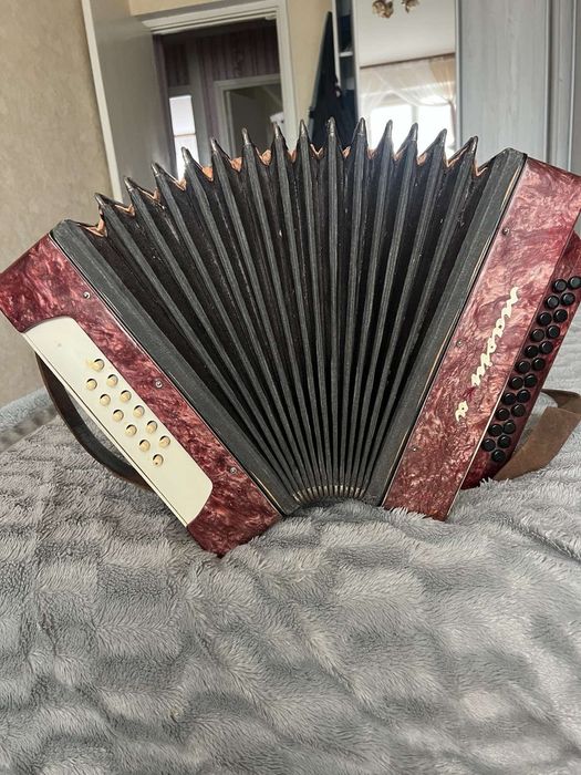 Гитара Трембита,  и гармонь  Беларусь и Маричка.