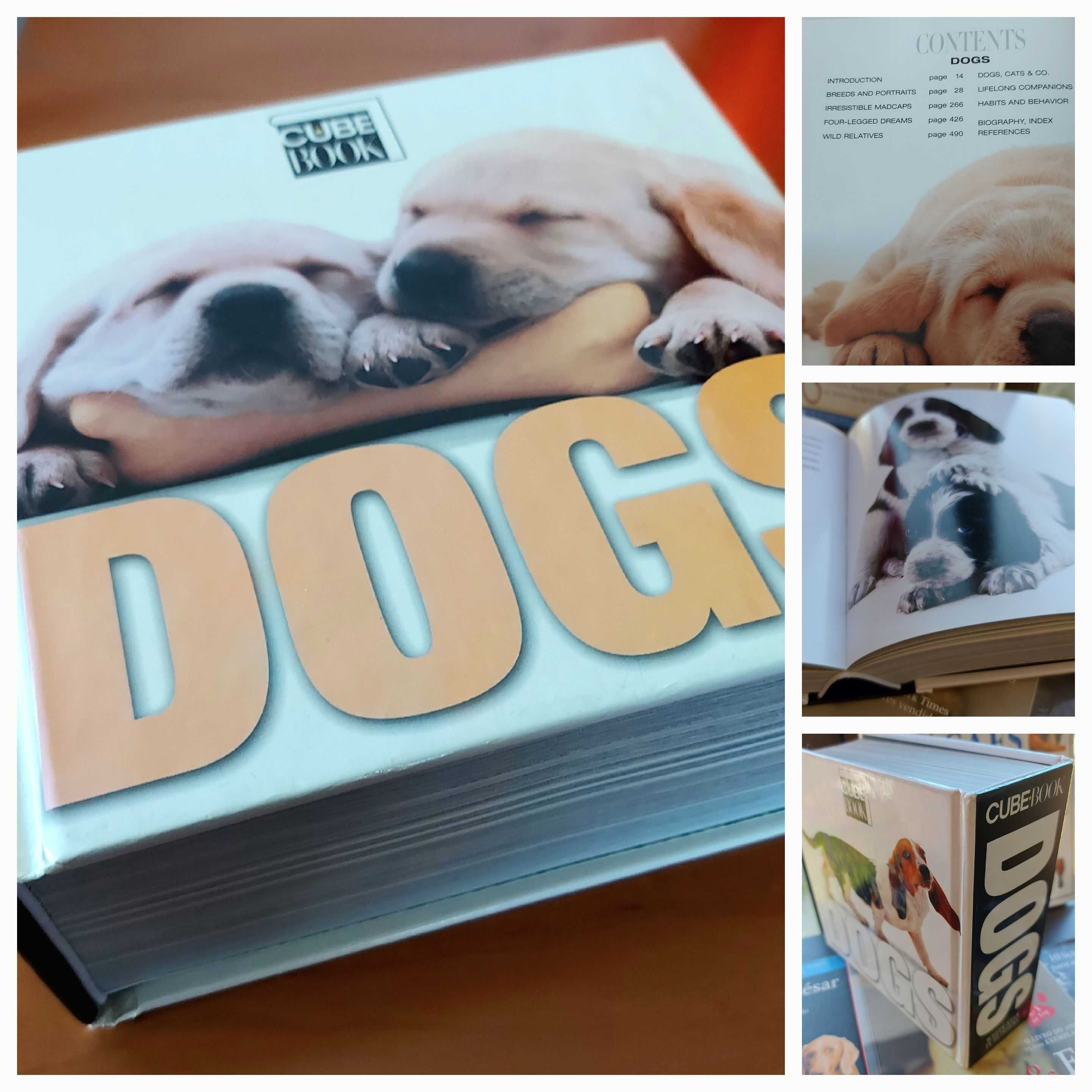 Livros Sobre Cães como Novos - Carnaxide