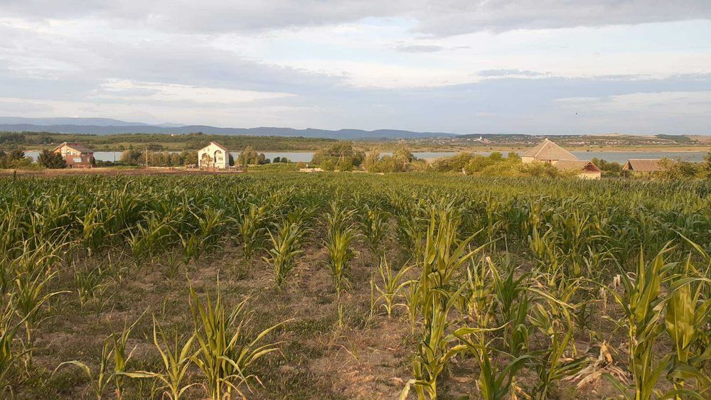 Земельна ділянка під Постройку в с.Пістрялово