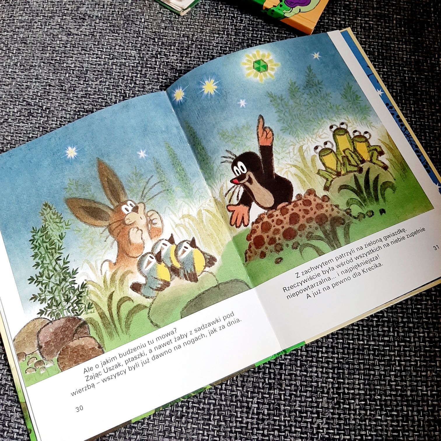 Krecik i zielona gwiazda książka dla dzieci 2008 perełka, stan bardzo