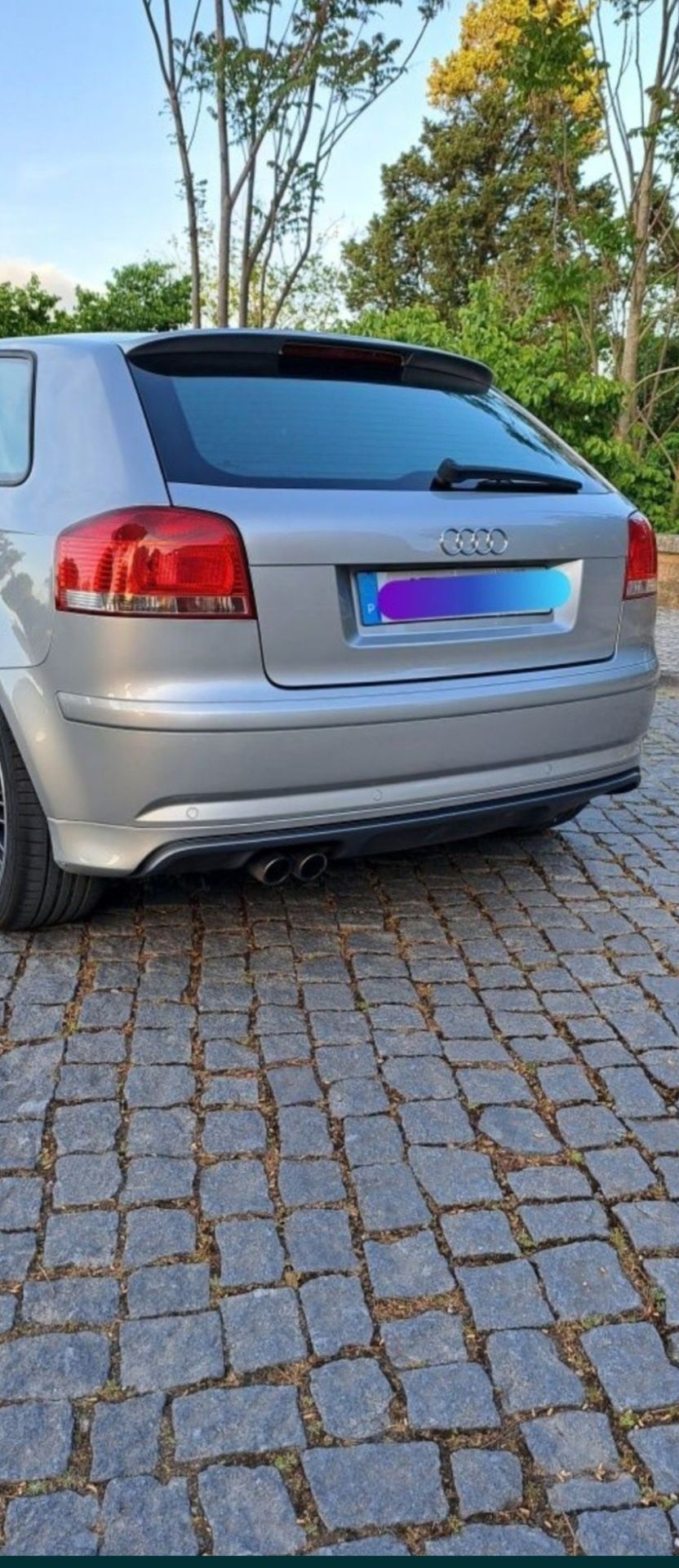 Audi A3 8p 170cv