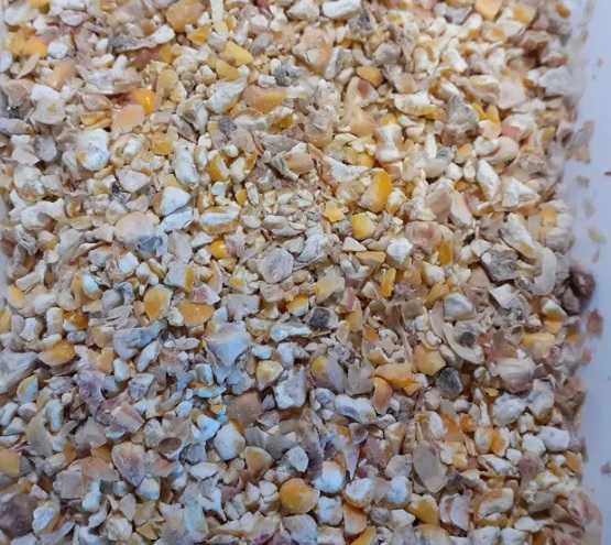 Gniecione ziarno (pszenica, pszenżyto, jęczmień, kukurydza) POLSKIE