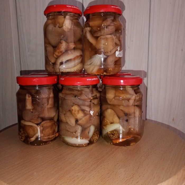 Mix maślaków marynowanych