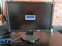 Monitor 19cali asus