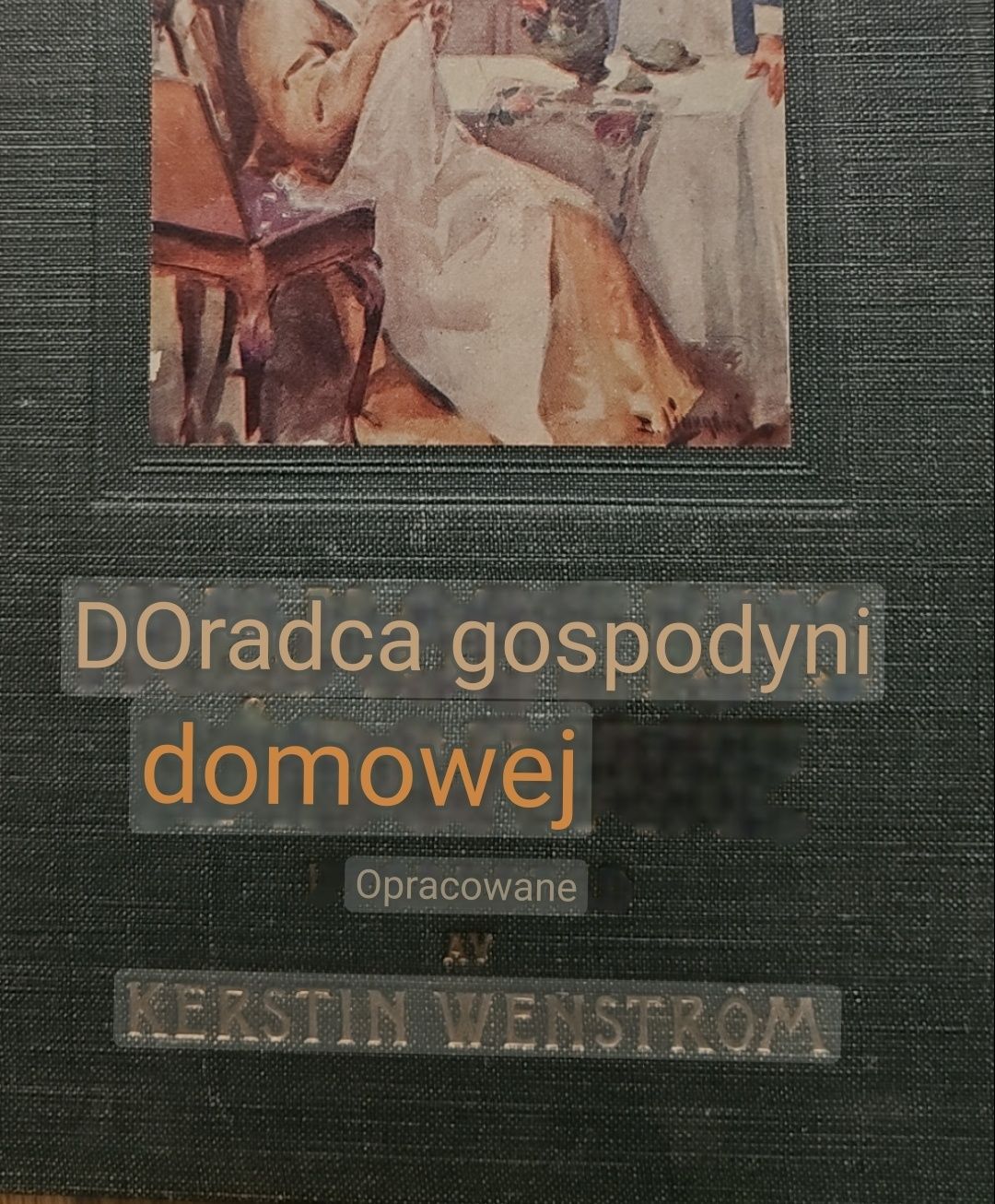 Szwedzka książka 1924 HUSMODERNS RADGIVARE