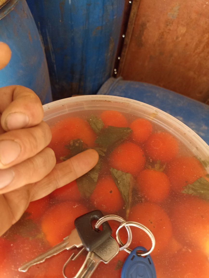 Продам овощи и соленья та квашенья