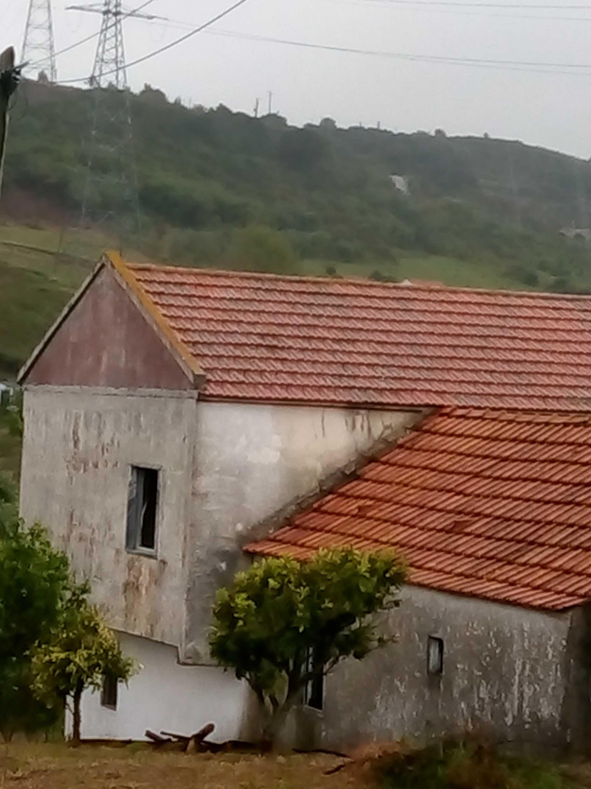 Serviços de construção e Limpeza de terrenos