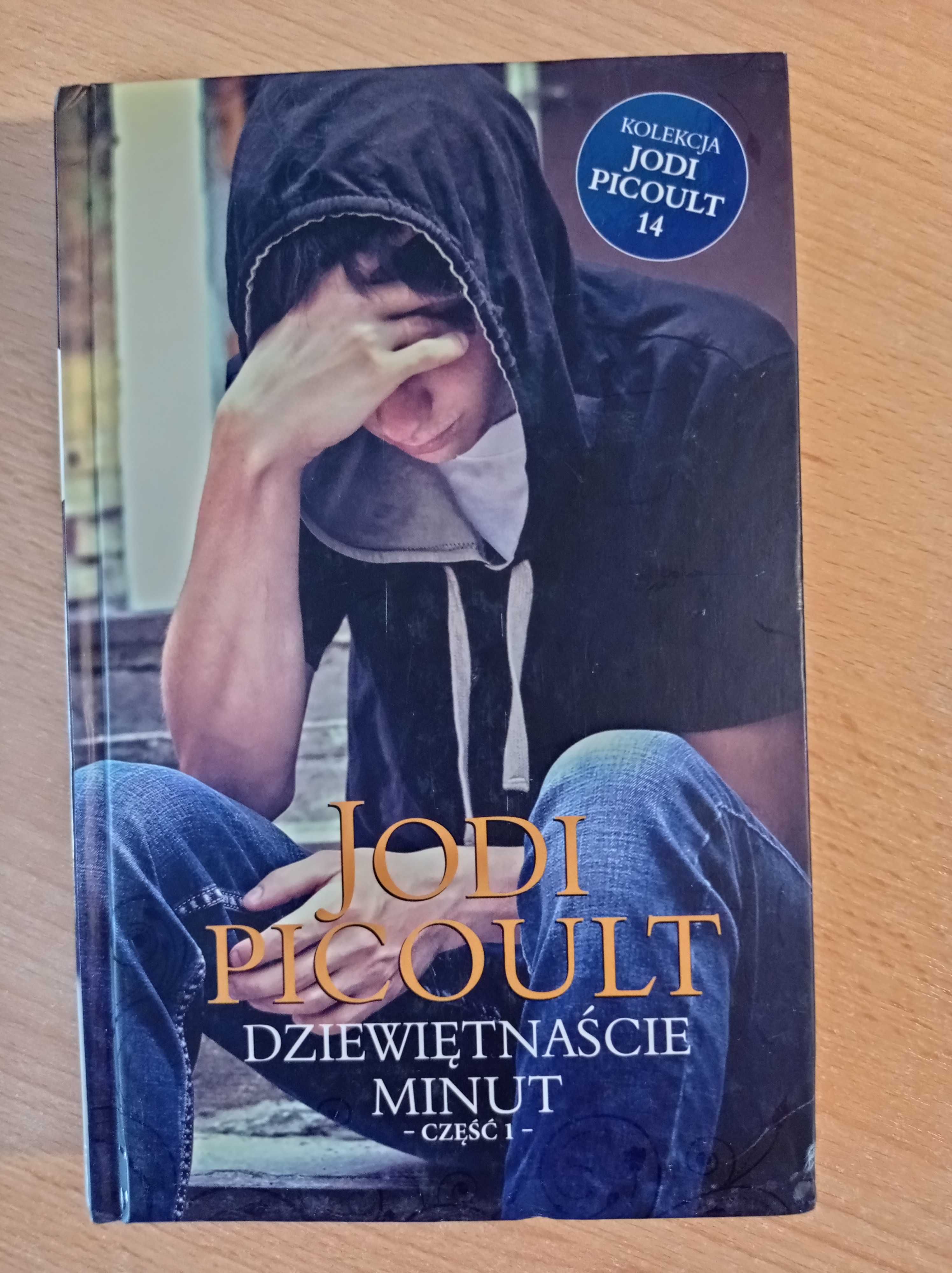 Dziewiętnaście minut, część 1, Jodi Picoult