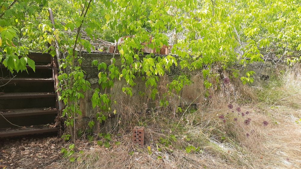 Продам дачу ДК "Полет" за Аэропортом