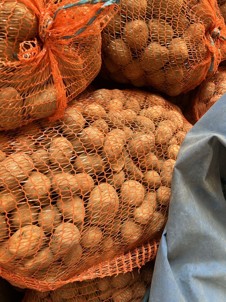 Ziemniaki paszowe odpadowe (drobny)