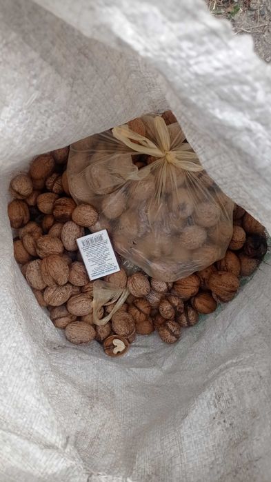 Орех грецкий, 10 кг 400грн. Днепр, р-н Мирний, самовывоз.