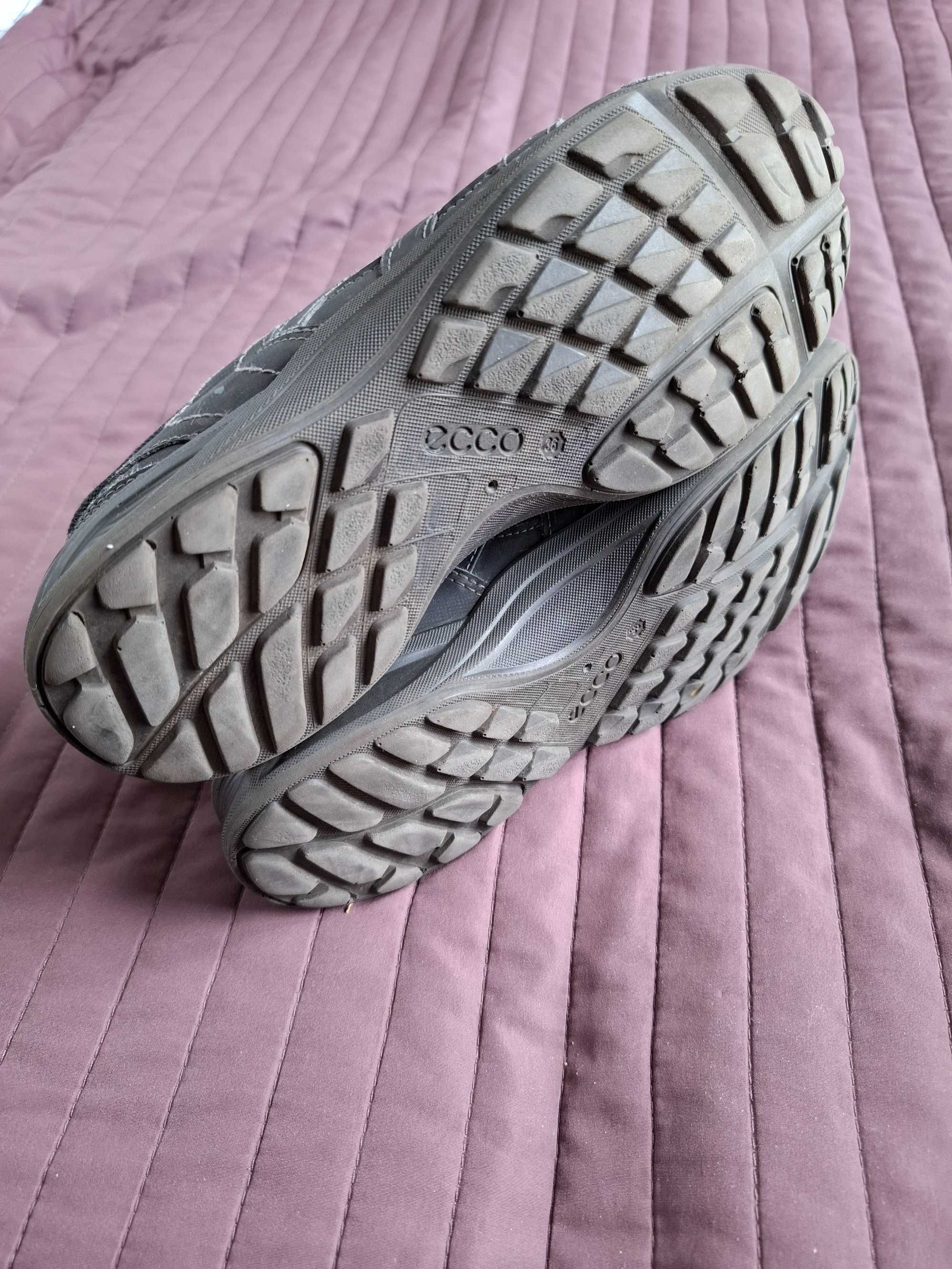 Ecco TerraCRUISE 36