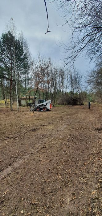 Mulczer leśny, mulczer wgłębny, karczowanie, oczyszczanie działek.