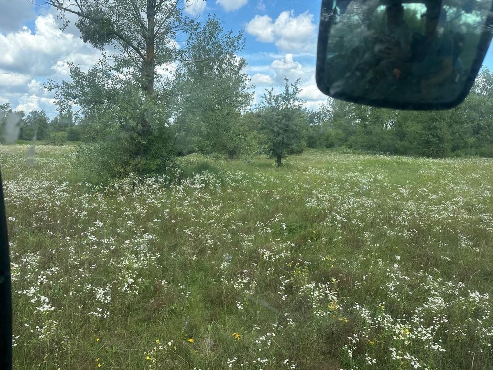 Oddam siano z lak 20 ha maciejowice