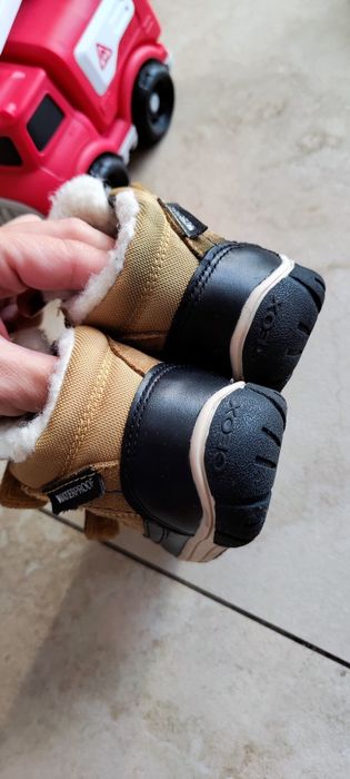 Zimowe buty geox