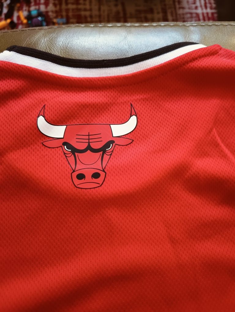 Koszulka NBA Chicago Bulls "L" z USA